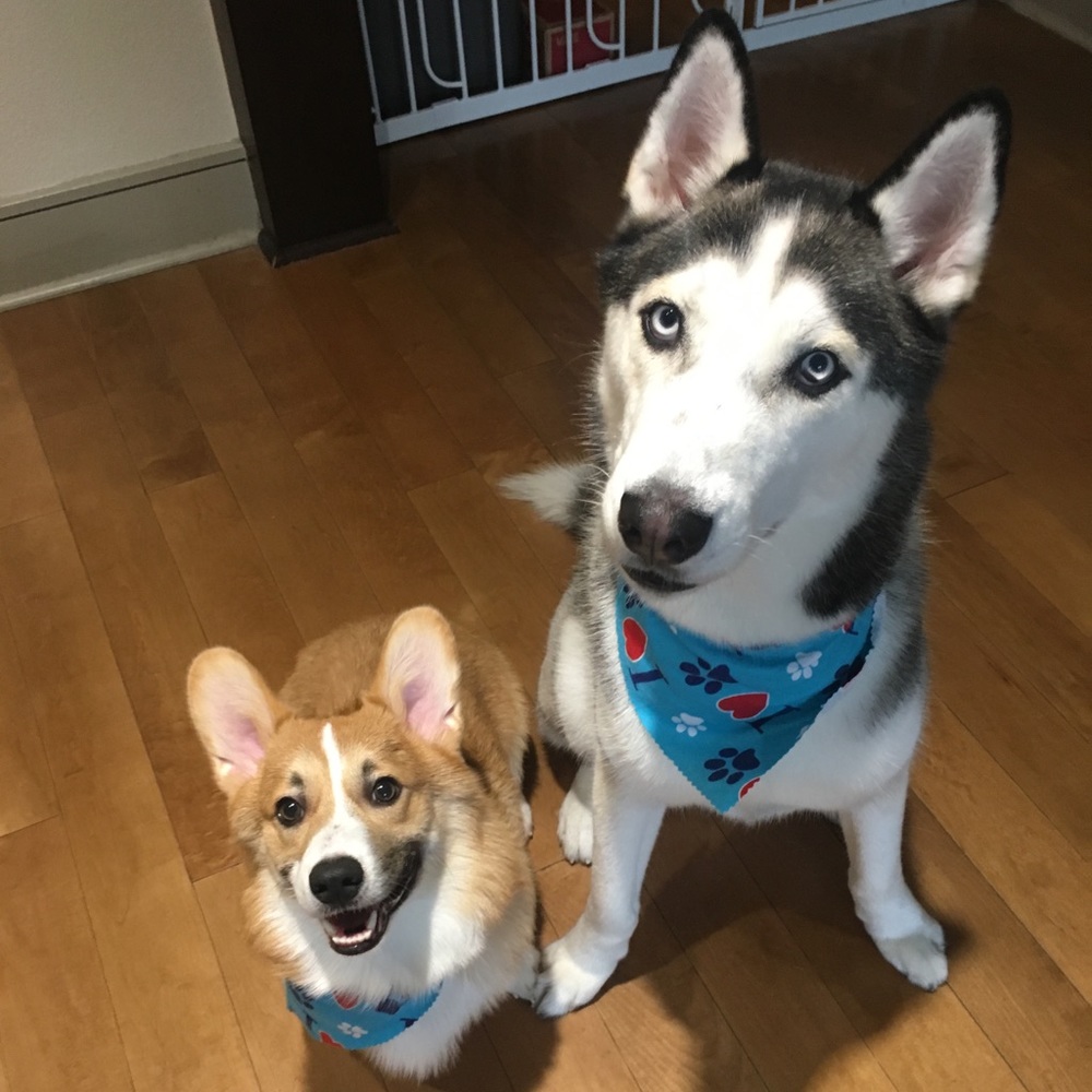 Meet your Posher, Kimberly